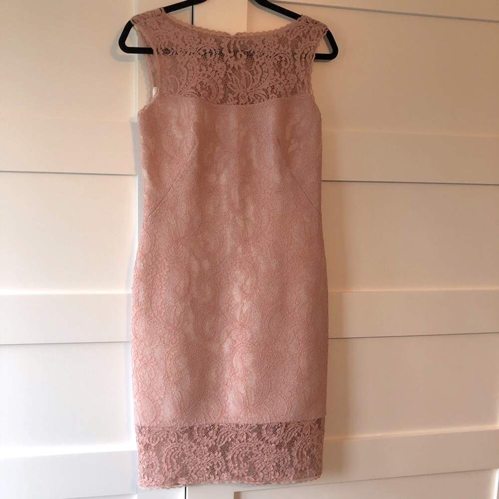 Tadashi Shoji Blush Pink Lace Dress